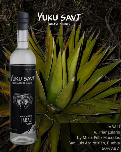 Yuku Savi - Jabalí